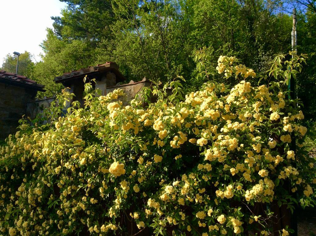 Bed Breakfast La Paggeria Trespiano Kültér fotó
